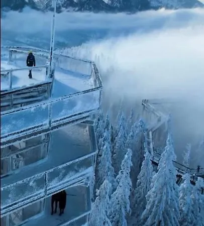 شاليه Wellness Oxy