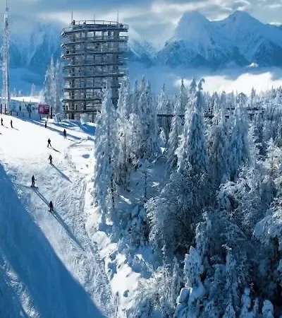 Wellness Oxy شاليه